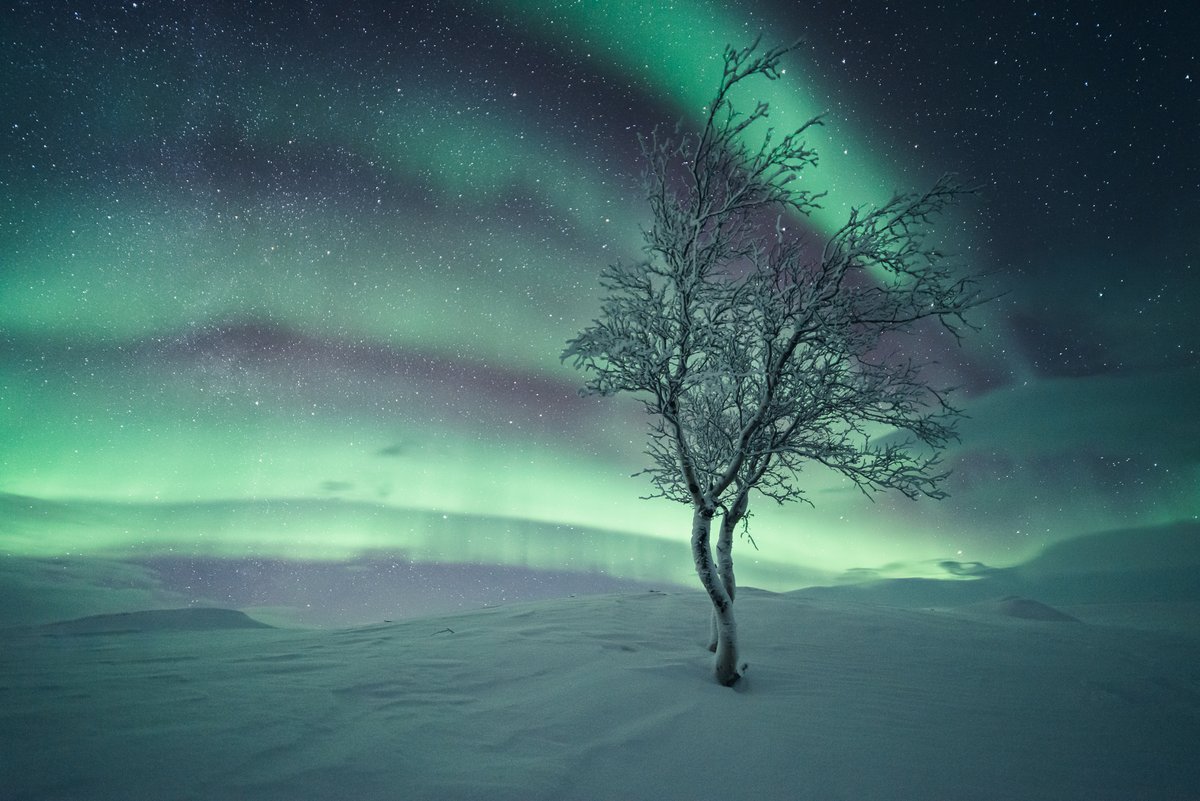 MikkoLagerstedt's tweet photo. Atmosphere at night https://t.co/iskPiNVcoo