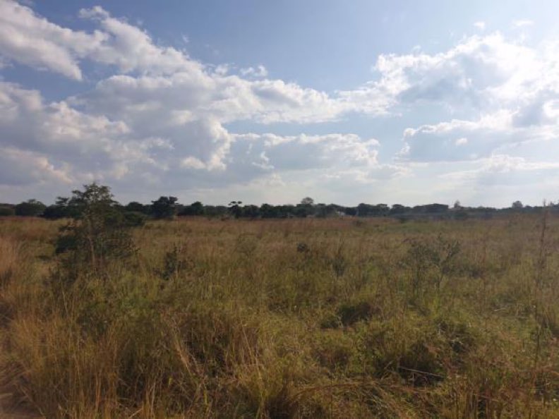 In Harare buying a house stand is too risky. I know a lady who bought a stand, used US$33k to build a house&amp; later someone came with original papers&amp; claimed that stand. That lady went to court &amp; she lost her case because her papers were fake.

Many faced similar scenarios.