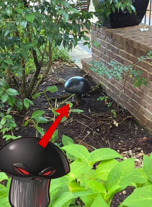 Laura Shigihara (鴫原ローラ ) 🍰🧋 tweet media