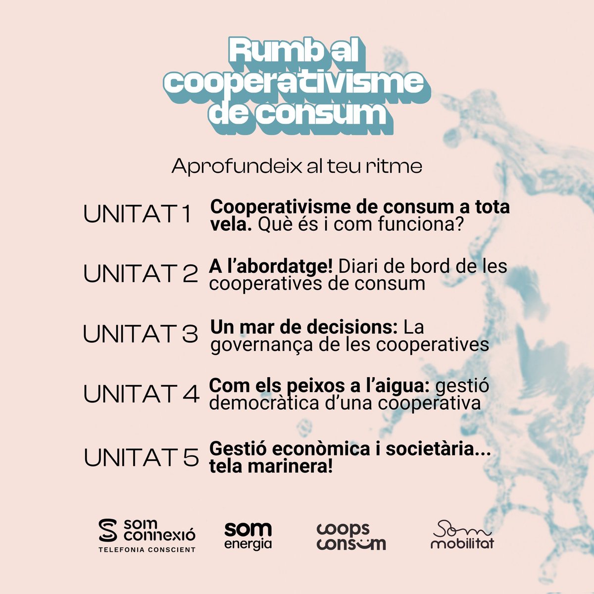 Sense President tweet media