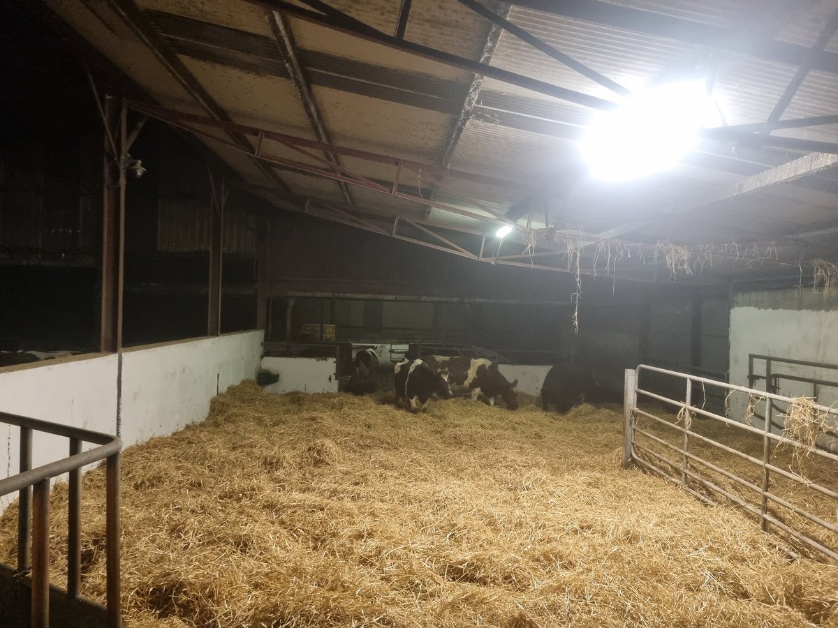 Bryan Daniels tweet media