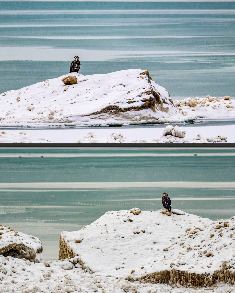 James Montanus tweet media