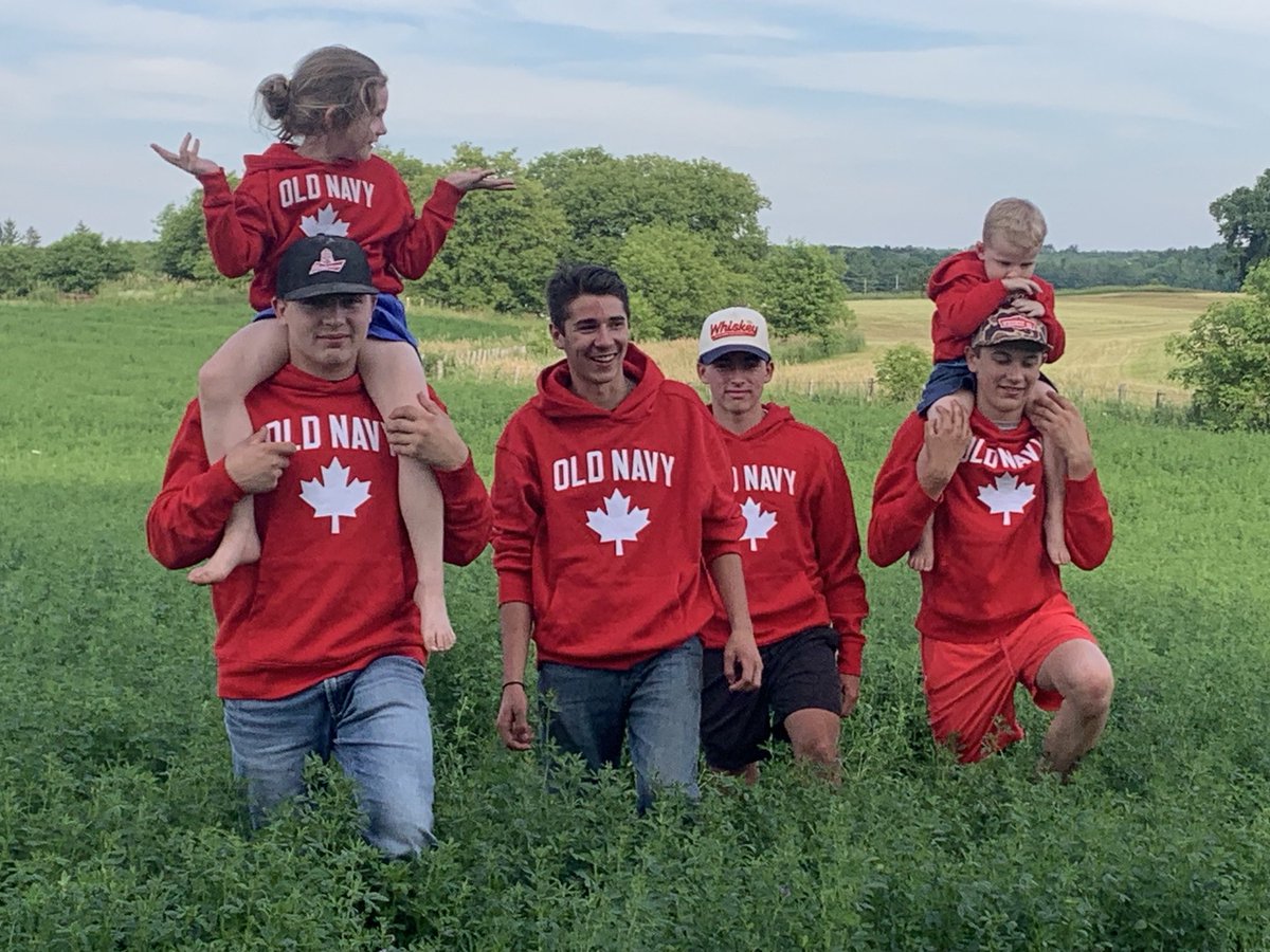 Mark Hamel tweet media