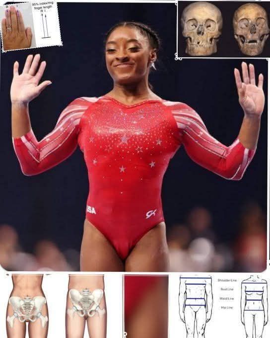 ConspiracyDad - EGI Hunter - Flat Earther tweet media