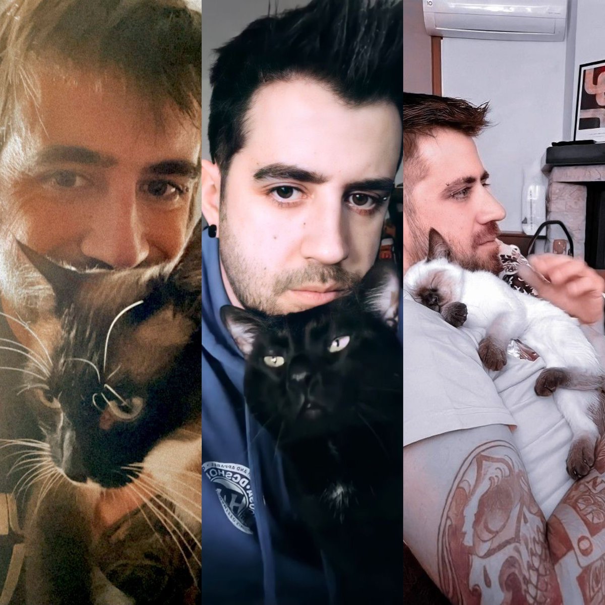 Daily Auron Cats ⋆˙⟡ tweet media