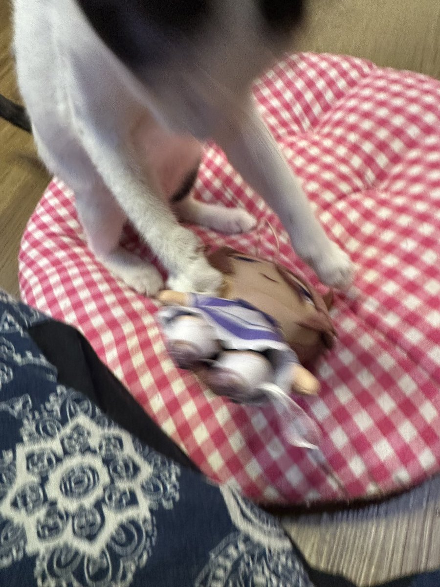 been addcited to horse game lately