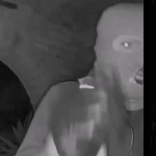 Not Woke 🐕🐔🐓🐐🪡🧶 tweet media