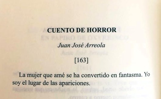 literlandweb1's tweet image. 