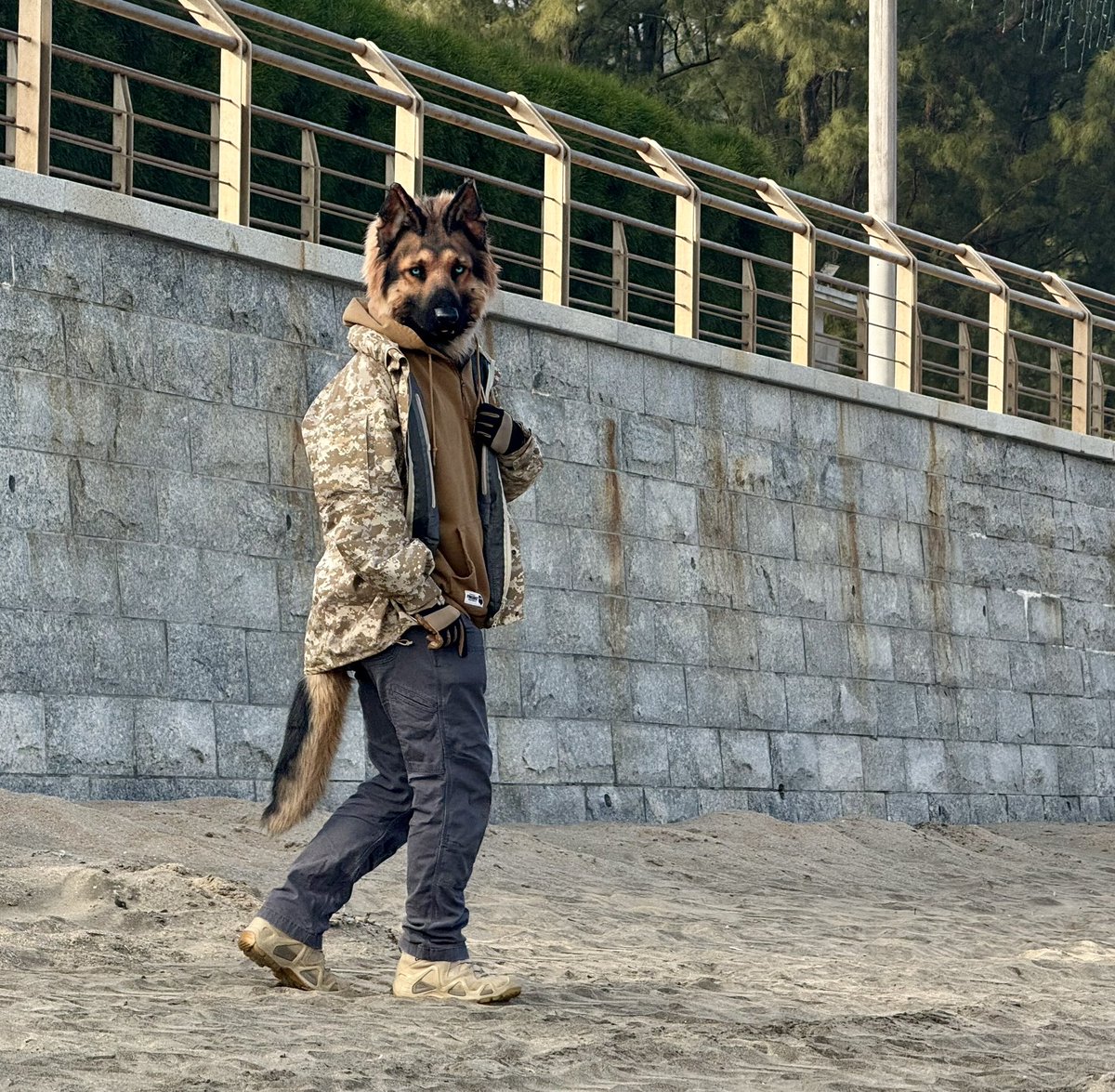 狗王🇺🇦 tweet media