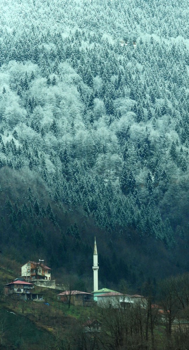 Acele etme, her şey vaktini bekler.

▫️Trabzon