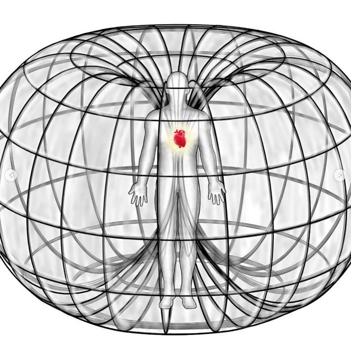 mtperformancedk's tweet photo. Your heart is not a pump

It’s a vortex with a gigantic magnetic field driven by flow and propelled by negatively charged EZ water within your body.

Ever wondered why you can sense someone’s vibe without being in close proximity to them?

This is why.

Heres the truth about your heart: