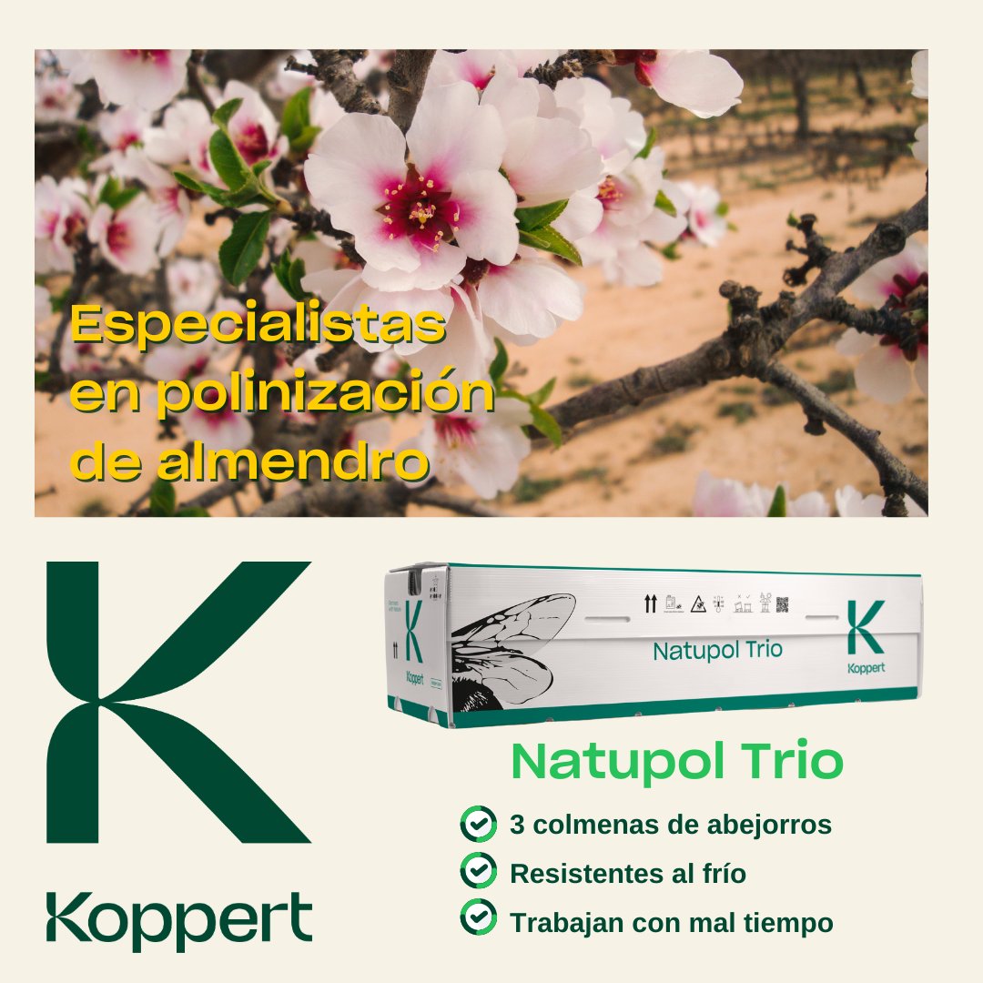 KOPPERT_ES tweet media