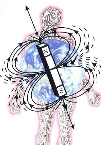mtperformancedk's tweet photo. Your heart is a torus field with a gigantic magnetic field reaching +2 meters beyond the human body.

It works in close cooperation with your fascia to harmonize your spirit through bioelectrical mechanisms rather than mechanical ones.

And it’s exactly how humans are so good at detecting other people’s vibes without even being in physical contact.