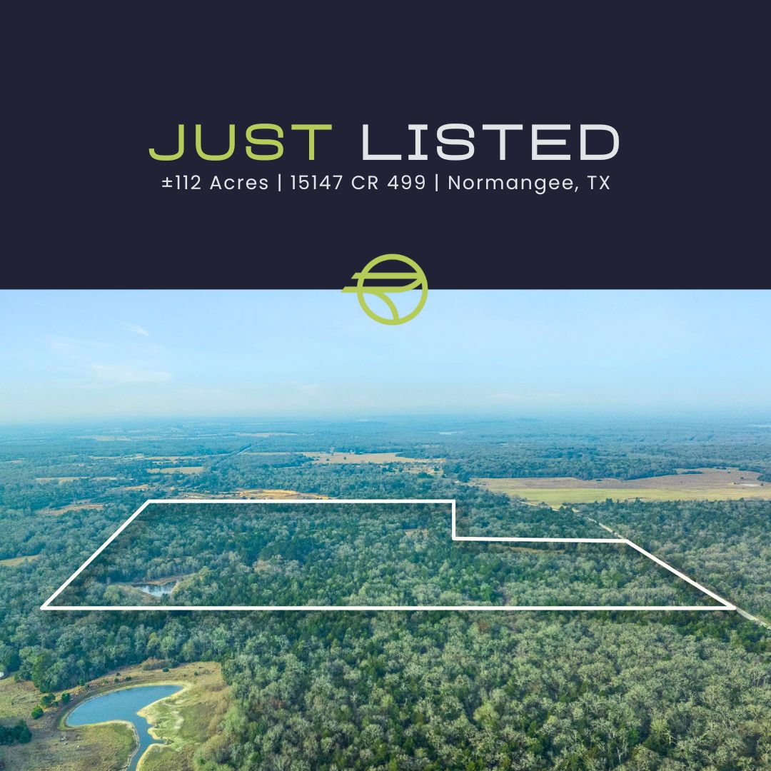 RiverstoneLand's tweet photo. New to Market! ±112 Acres in Leon County. Rare sand-hill terrain with 6–12’ sandy loam soils, mature loblolly pines, abundant wildlife (trophy bucks + bass fishing), and miles of cleared roads with shooting lanes. 

Landon Allen | 903.875.9798
https://t.co/c4OizCRdGT https://t.co/Qt0o7XmiQl