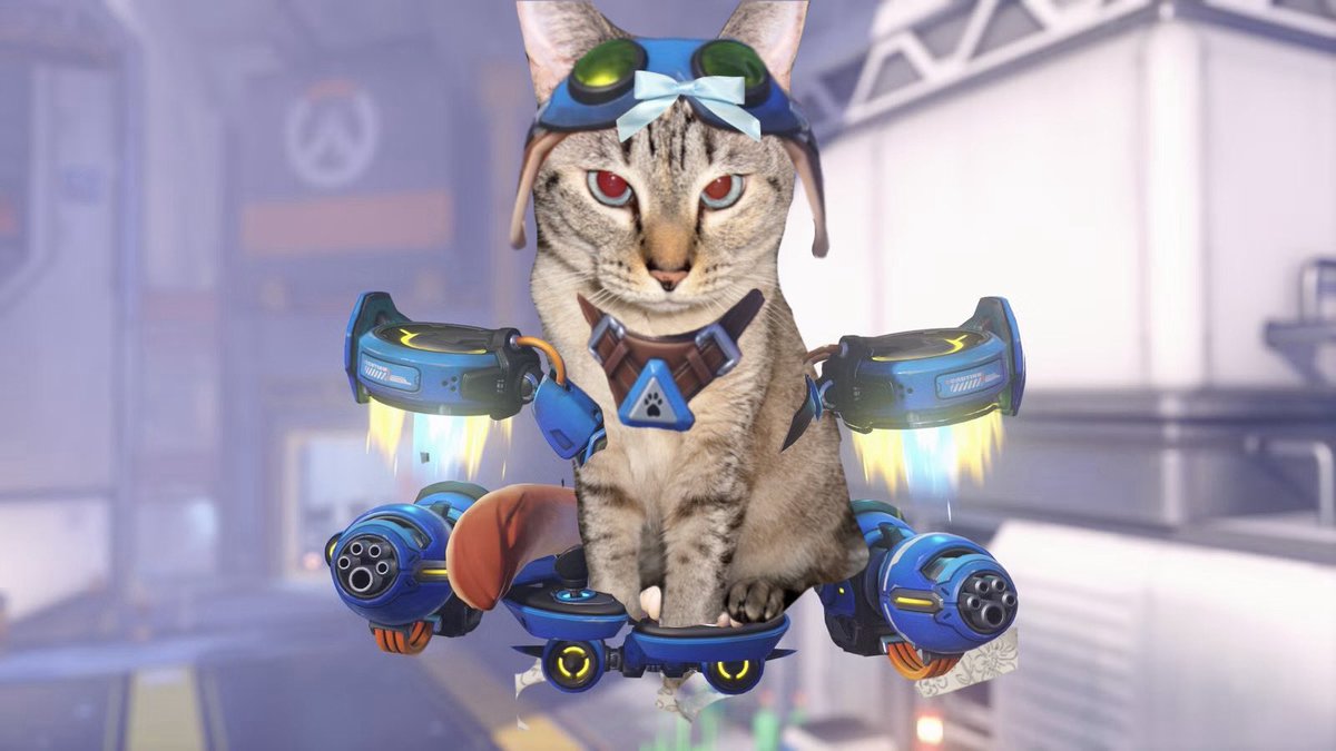 Jade + Opal x OVERWATCH JETPACK CAT