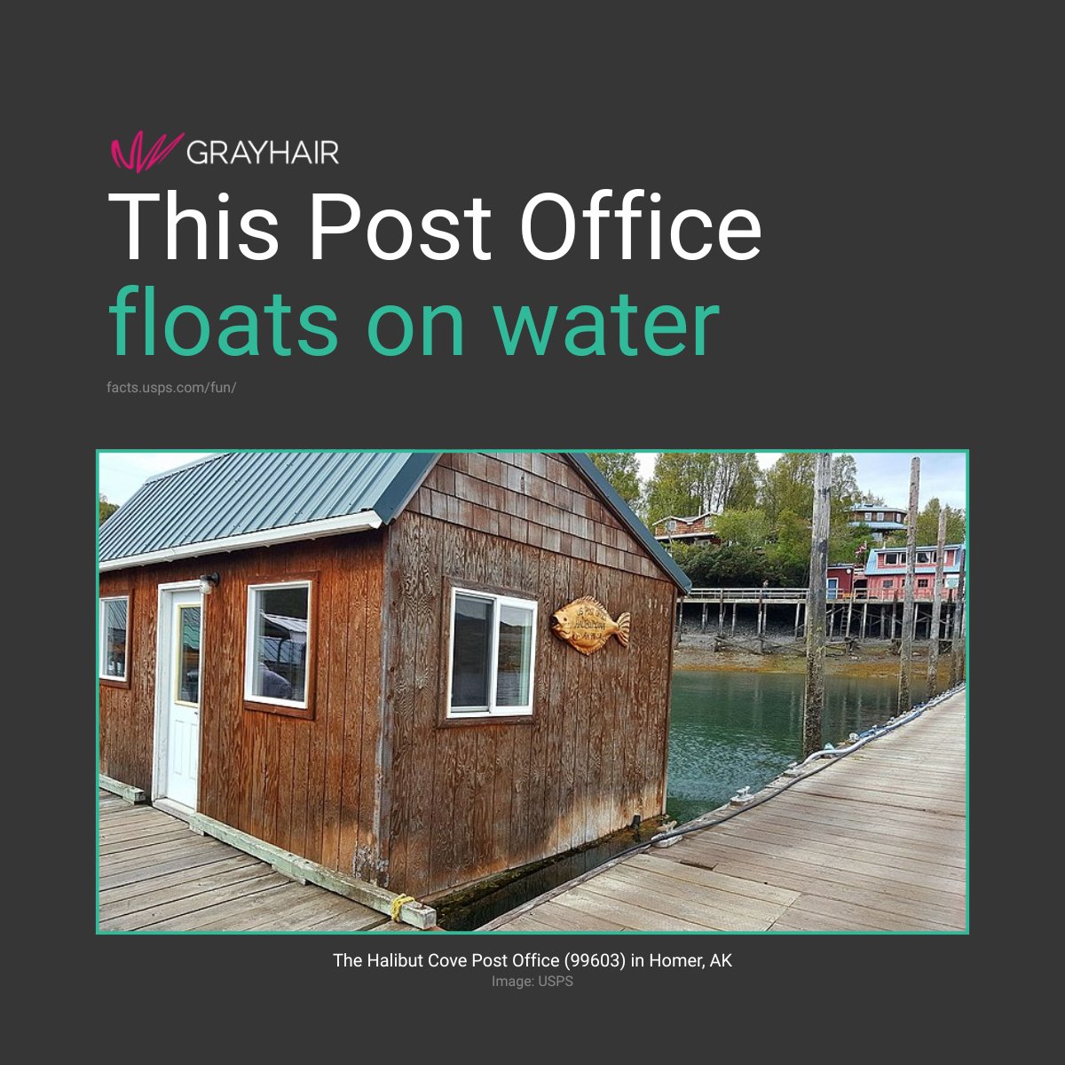 The Halibut Cove Post Office in Homer, Alaska (ZIP 99603) isn't your typical building. It's a small houseboat permanently tied to a dock. Yep, your mail gets delivered to a floating office. Only in Alaska. 

#USPS #FloatingPostOffice #Alaska #HalibutCove #UniquePostOffices