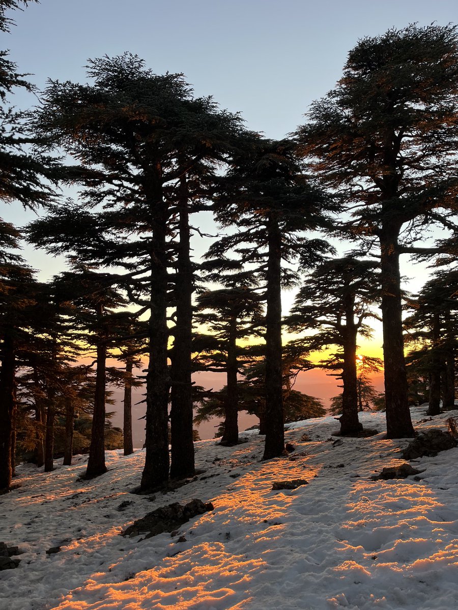 اية🦇🇲🇦 tweet media