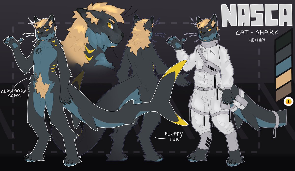 New ref sheet for a different version of my sona.

This time I'm a cat mixed with a shark! Incredible work from:<a href="/Charingo_/">Charingo</a>.

Dadle la bienvenida al gato tiburón! Nueva versión de mi sona!
