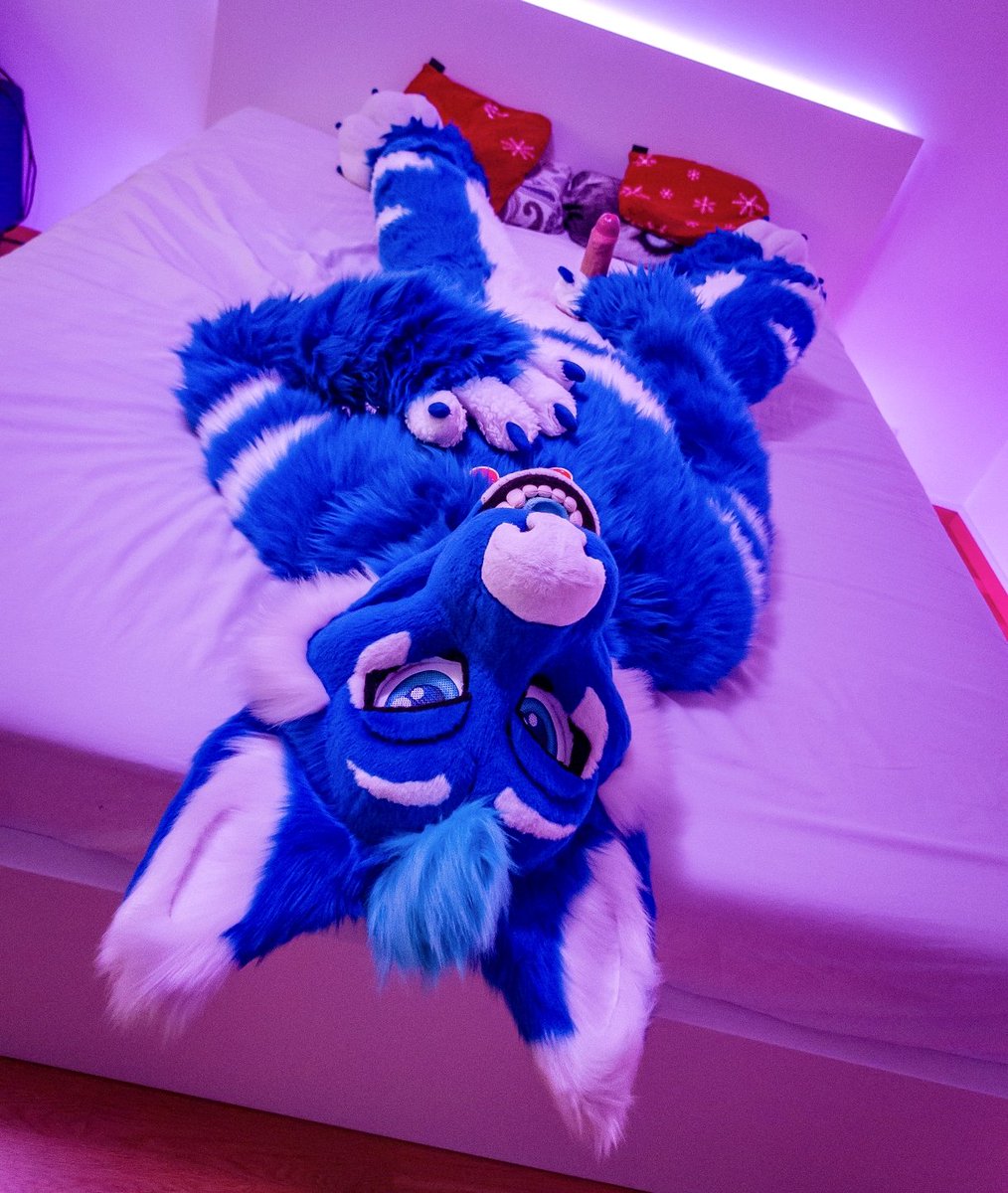 Blue Sex Dog 🔜 CFZ, MP tweet media