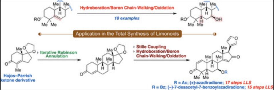 Total Synthesis tweet media