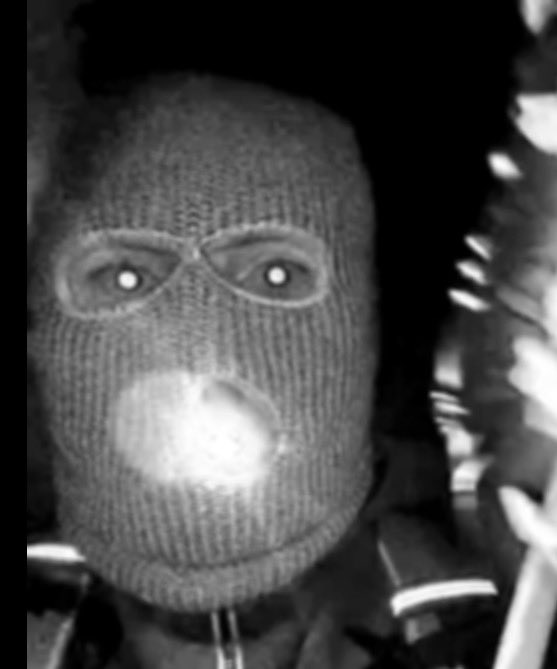 greta's tweet photo. Usually I use the word “alleged” but I think it fair to say just “suspect” when describing the masked man approaching the Guthrie house…he  IS a suspect, he is not an alleged one…. https://t.co/LpfYBHzw7p