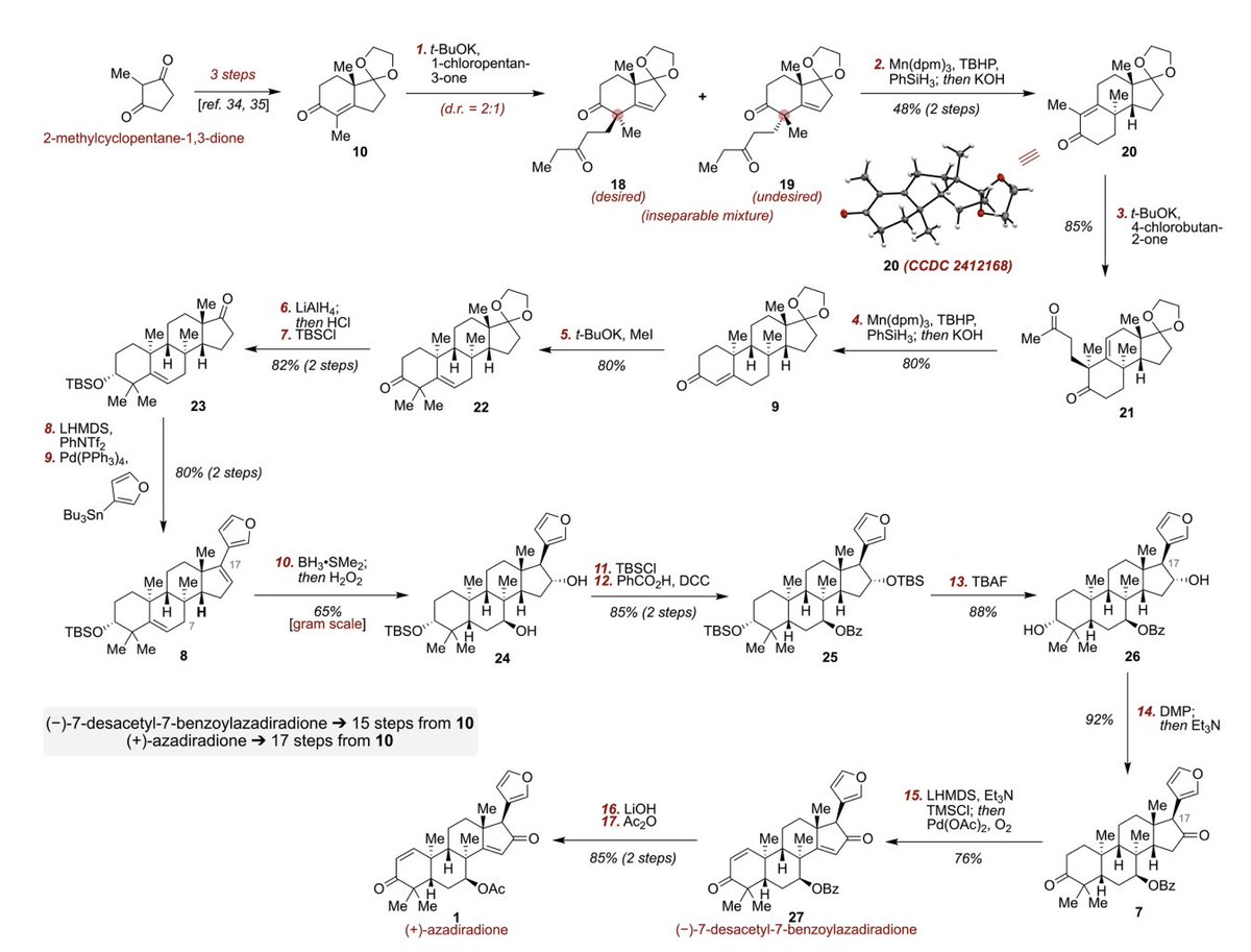 Total Synthesis tweet media