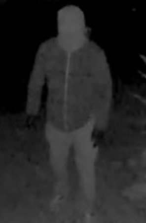 Lilly inLondon tweet media