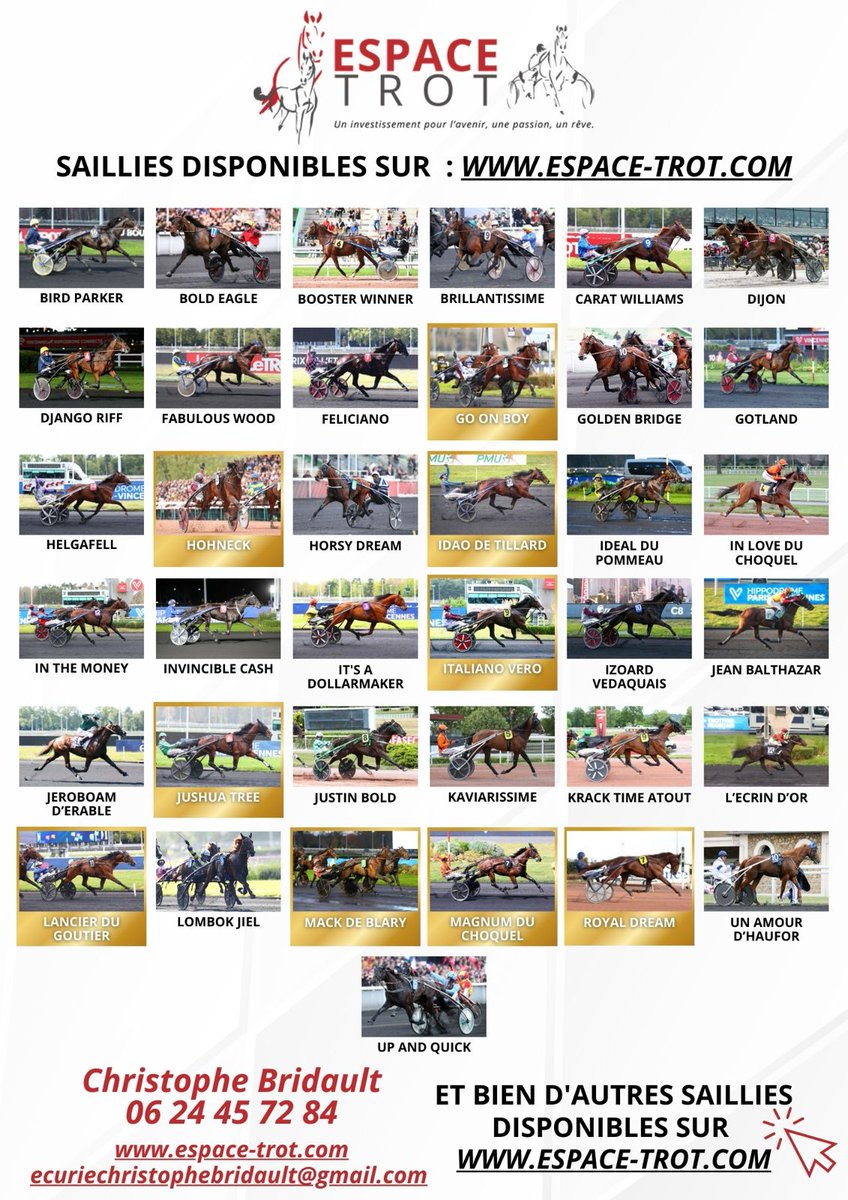 Christophe bridault tweet media