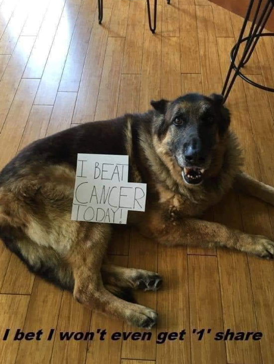 I beat cancer  🙏🤍😍