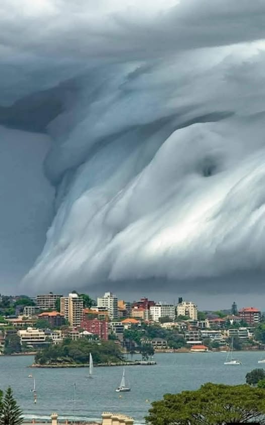 📷Incredible photo of a "shelf Cloud: captured in Rose Bay, Sydney, Australia. Photo credit to Richard Hirst. #sydneyaustralia #clouds #tsunami