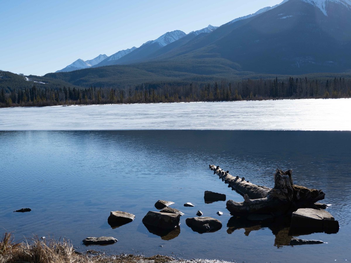 TerryWood19's tweet photo. Took a little trip to Banff last week. Amazing weather we are having here, especially for early February - it was about 10 celsius / 50 Fahrenheit! Vermillion Lakes and Johnson Lake, February 5, 2026. https://t.co/pxrfzbYrnr