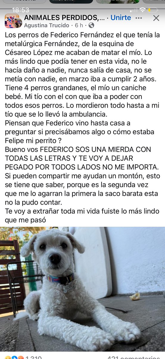 🙏🏻🙏🏻🙏🏻denuncien estas cosas hoy es esta mascota, mañana será un niño 🙏🏻🙏🏻🙏🏻🥲🥲🥲