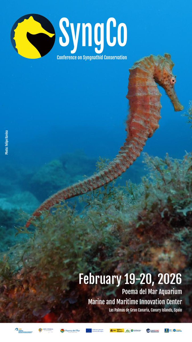 🇪 🇺 🇷 🇴 🇸 🇾 🇳 🇬 tweet media