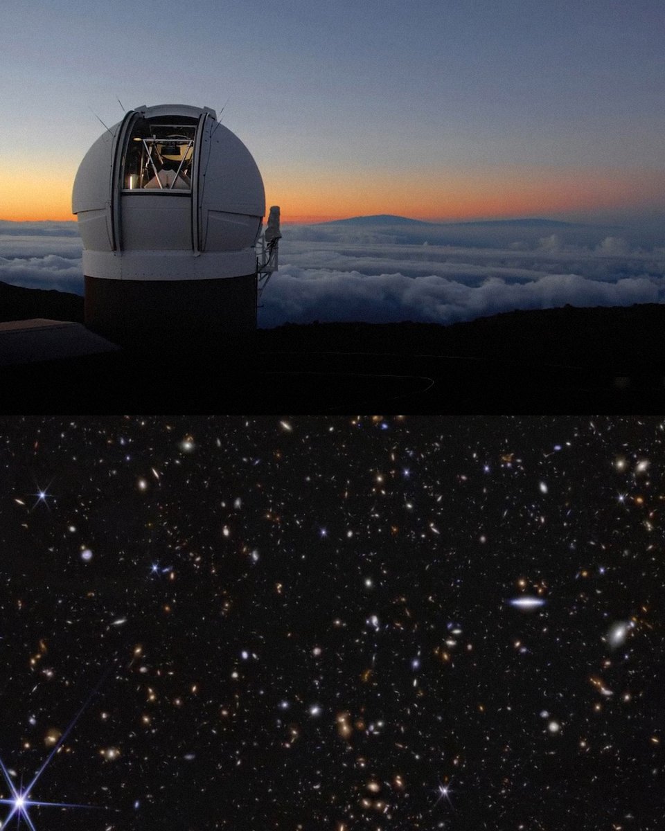 TVO Docs tweet media