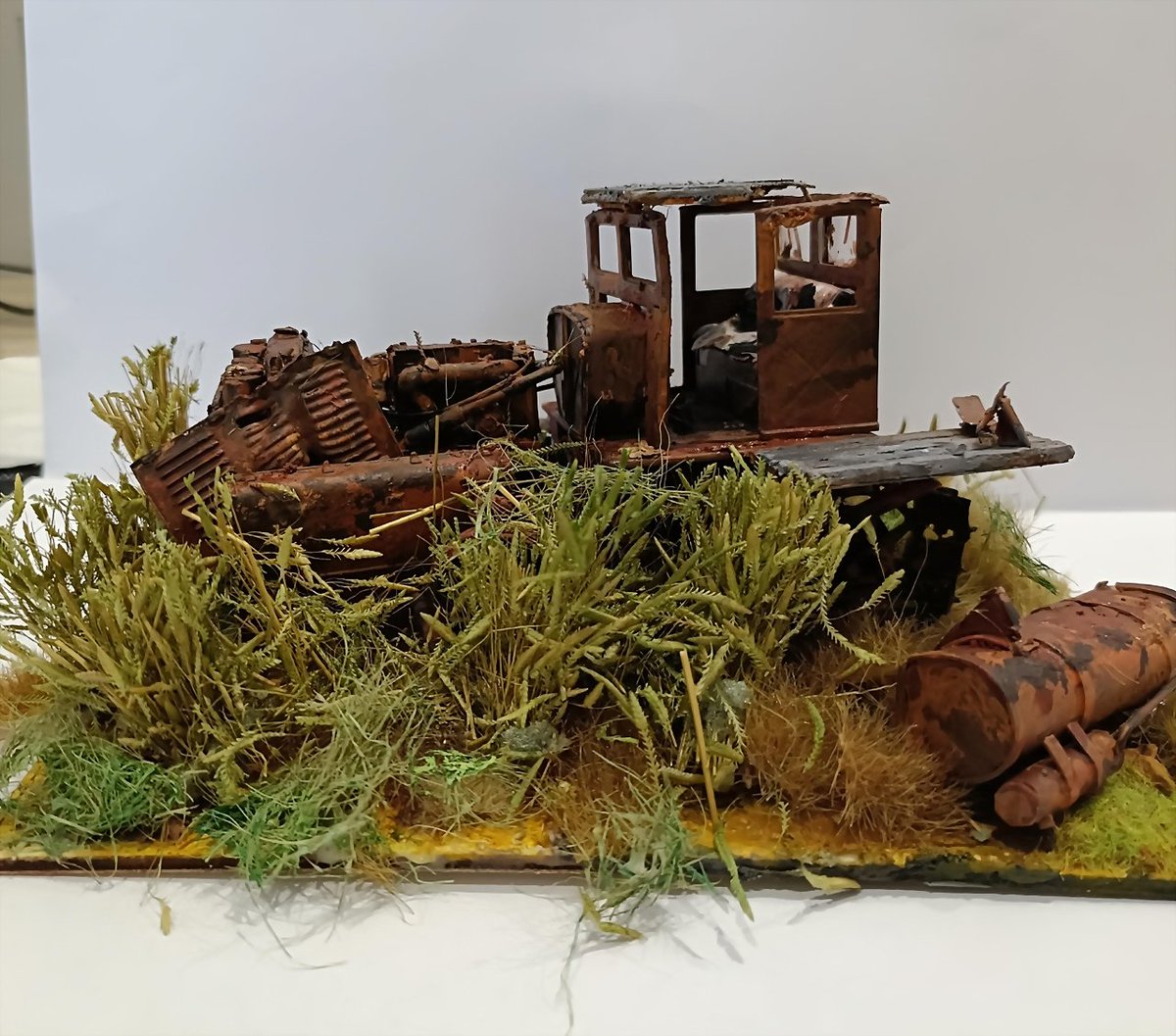 ACAM-IPMS Cataluña tweet media