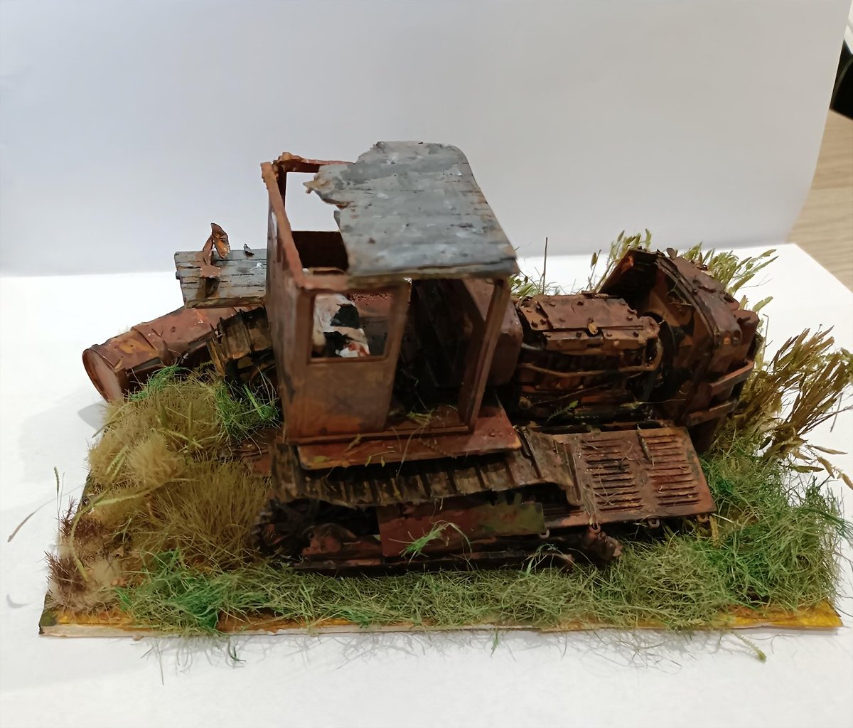 ACAM-IPMS Cataluña tweet media