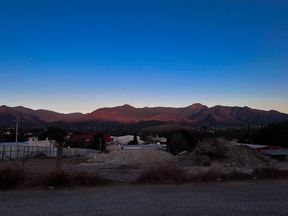 Fernanda tweet media