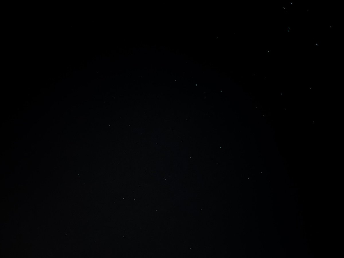 Fernanda tweet media