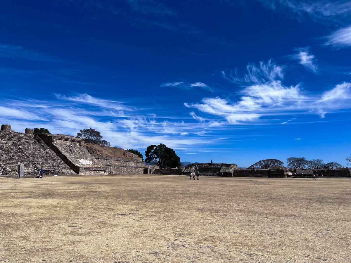 Fernanda tweet media