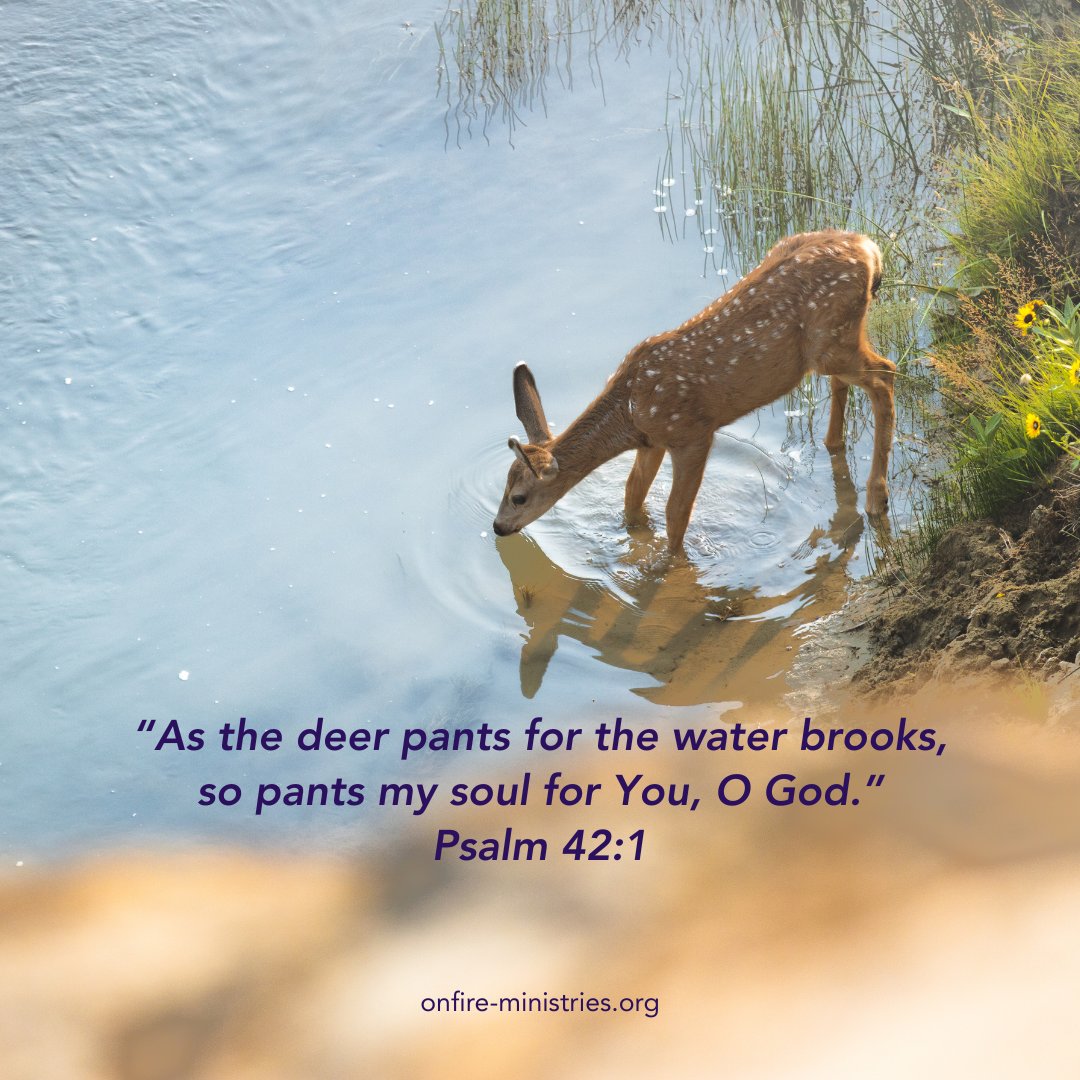 PatDomangueOFM's tweet image. God’s Word works.
Once Scripture begins shaping a life, it creates a hunger nothing else can satisfy.
“As the deer pants for water…” (Ps. 42:1)
Have you experienced that kind of longing for God?
#WordOfGod #SpiritualHunger #ChristianWomen