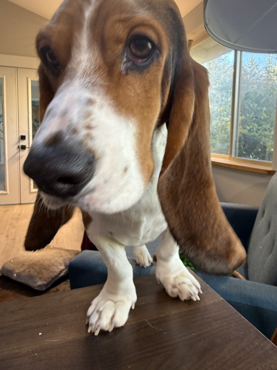 Alison Atwell tweet media