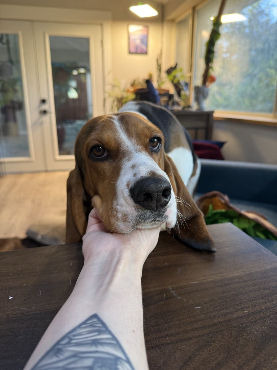 Alison Atwell tweet media