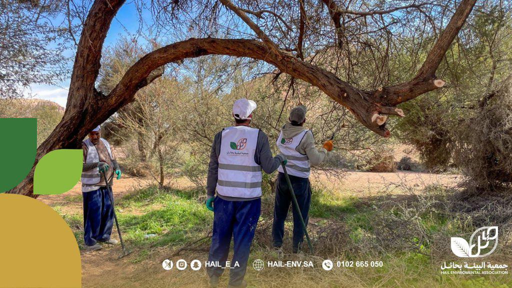 جمعية البيئة بحائل tweet media