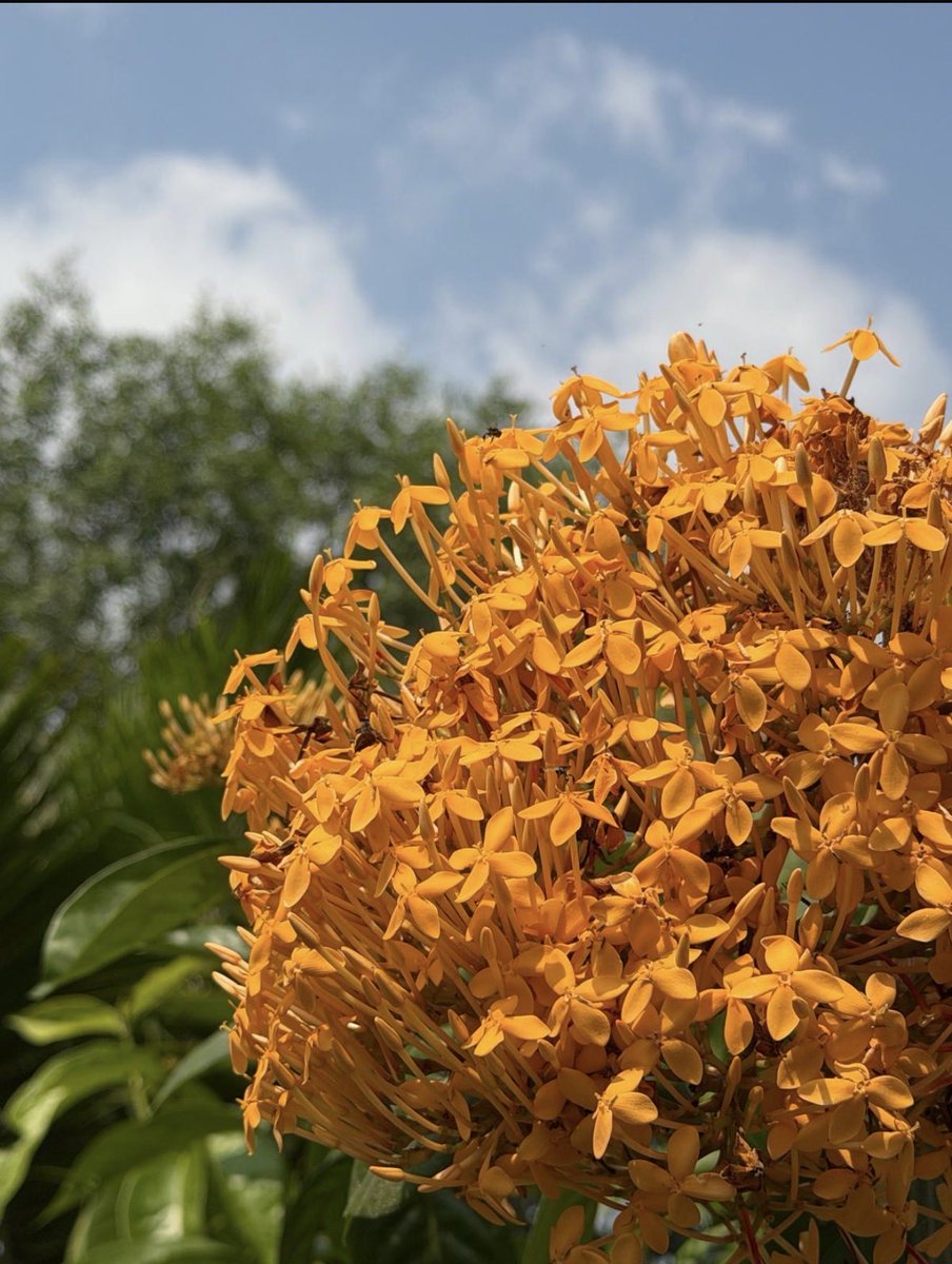 Geleceği kontrol etmeye çalışmak değil, kontrol edemediğini kabul etmek özgürleştiriyor. Hiçbir sebebe fazla güvenme, elinden kayıp gitmeyecek hiçbir şey yok. Her şeyin geçici olduğu bir dünyada, içinde bulunduğun an kıymetli. 

Hakkını ver.