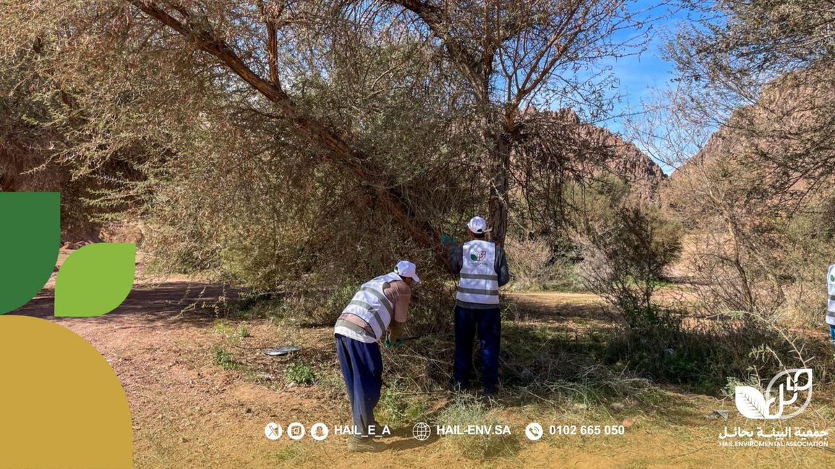 جمعية البيئة بحائل tweet media