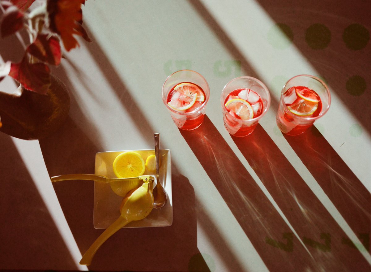 profeshkitten's tweet photo. my fav example of expired film adding just the right amount of magic ✨ https://t.co/P7jjxRUdvp