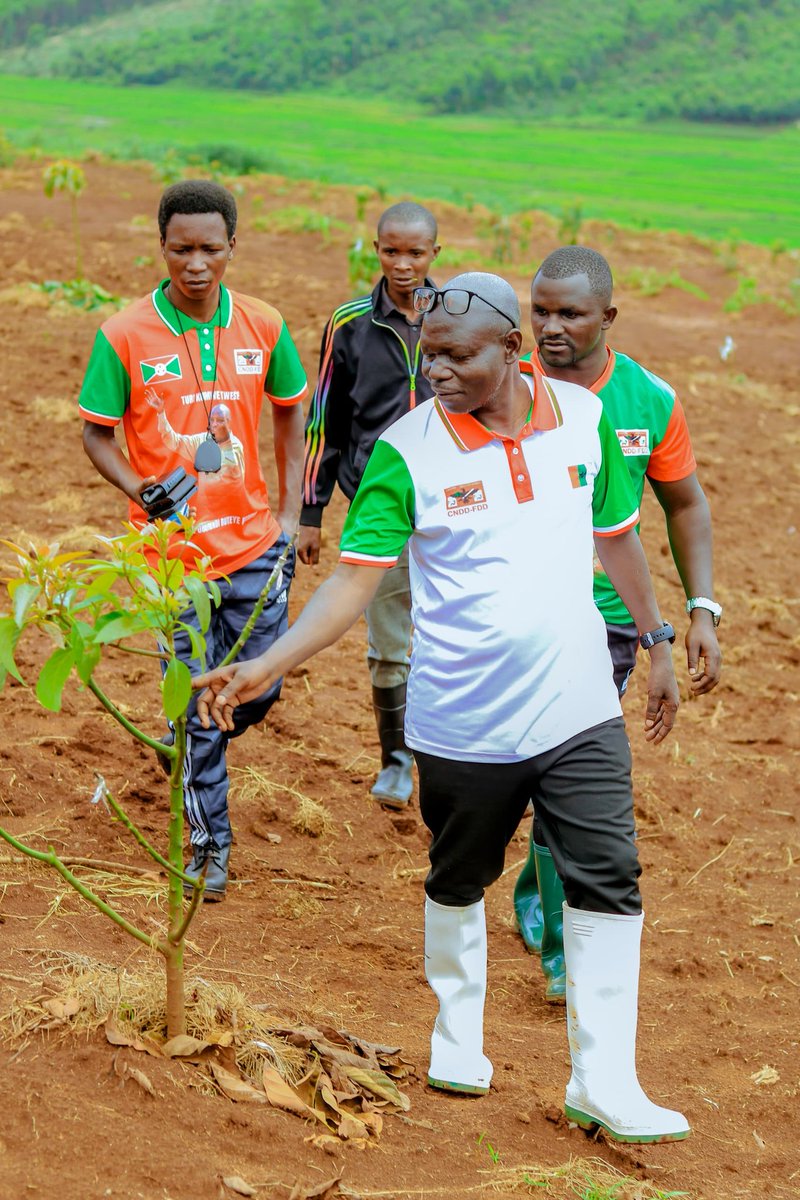 CnddFddButanyer's tweet photo. 10/02/2026 Umunyambanga wa @CnddFdd muntara ya Butanyerera arabandanya agendera imitumba igize komine Tangara,unomunsi yagendeye imitumba ya #Ruhengeri,#Musumba,#Buhoro,#Butaganda,#Sigi na #Gitanga ya zone #Gatobo aho yasanze iyo zone imaze gutera ivoka kubice 160%
@R_Ndikuriyo https://t.co/VlN1K8Fngf