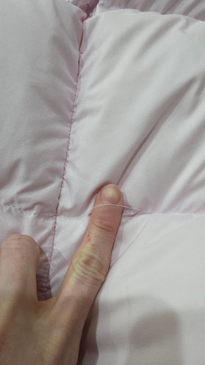 Sakura Chan tweet media