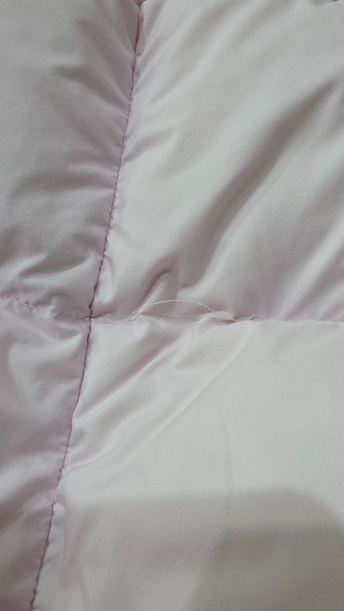 Sakura Chan tweet media