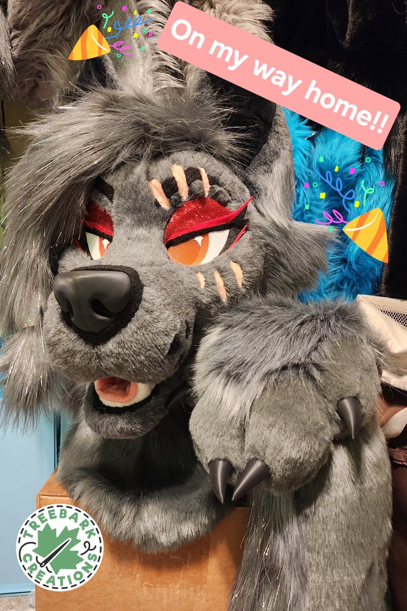 Got logged out of my account until now. 

As for updates the grey wolf partial has sold and is now on thier way home! 

Thank you all for the help with reposting and liking, I appreciate you all. 

#fursuit #fursuitmaker